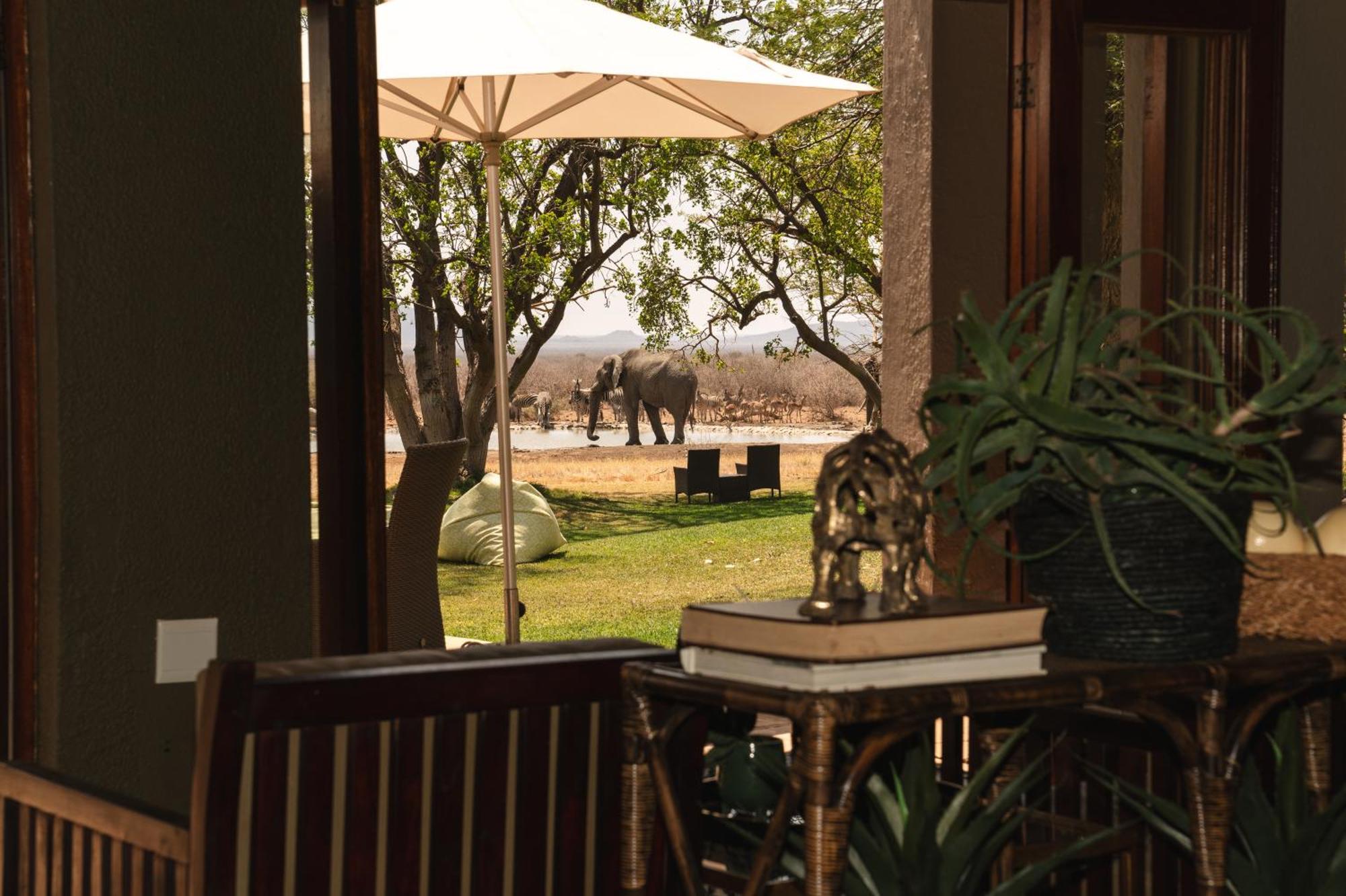 Last Word Madikwe Vila Madikwe Game Reserve Exterior foto