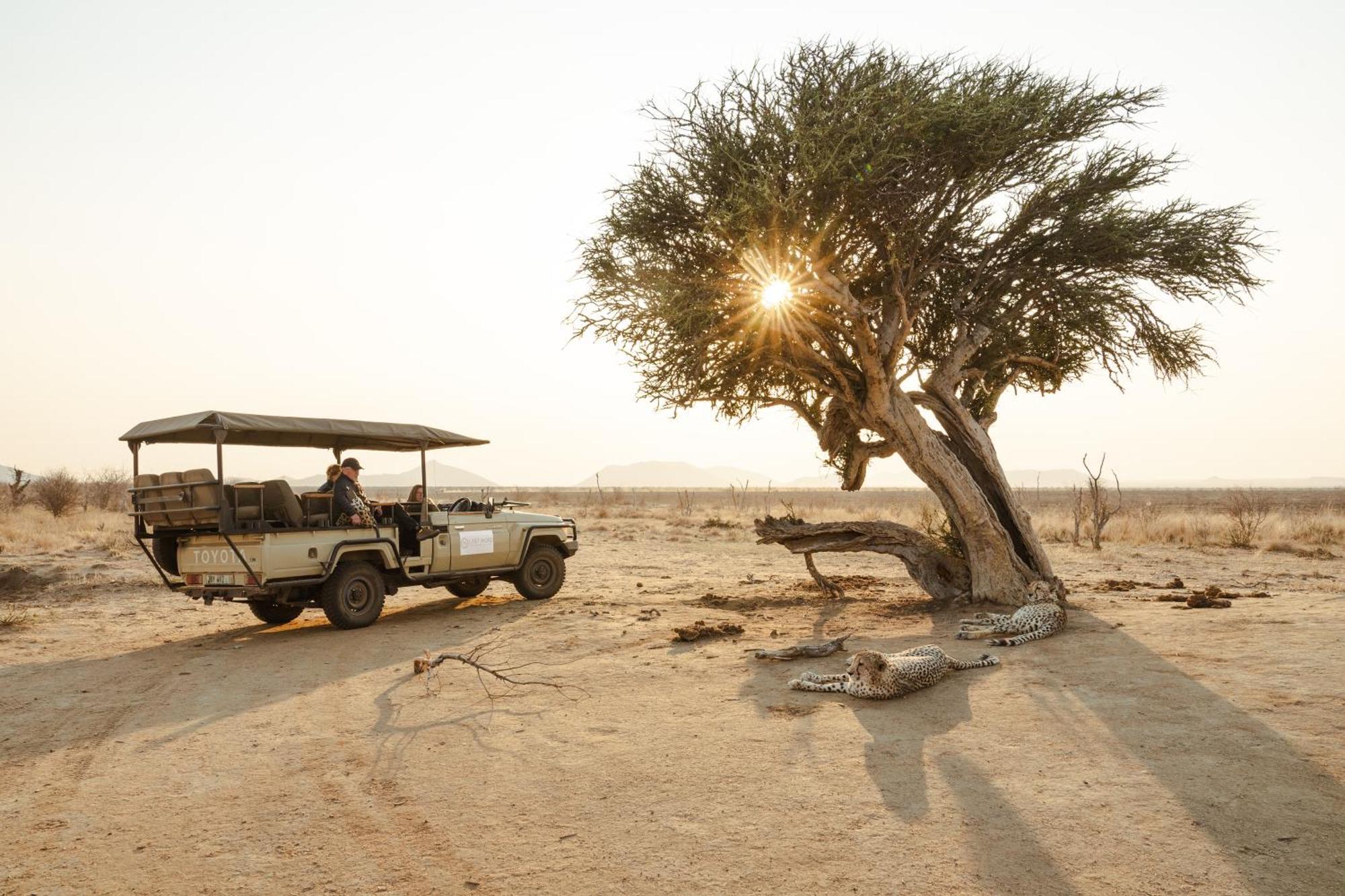 Last Word Madikwe Vila Madikwe Game Reserve Exterior foto