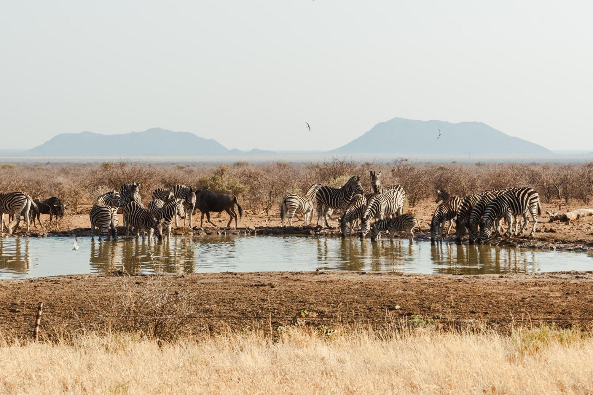 Last Word Madikwe Vila Madikwe Game Reserve Exterior foto