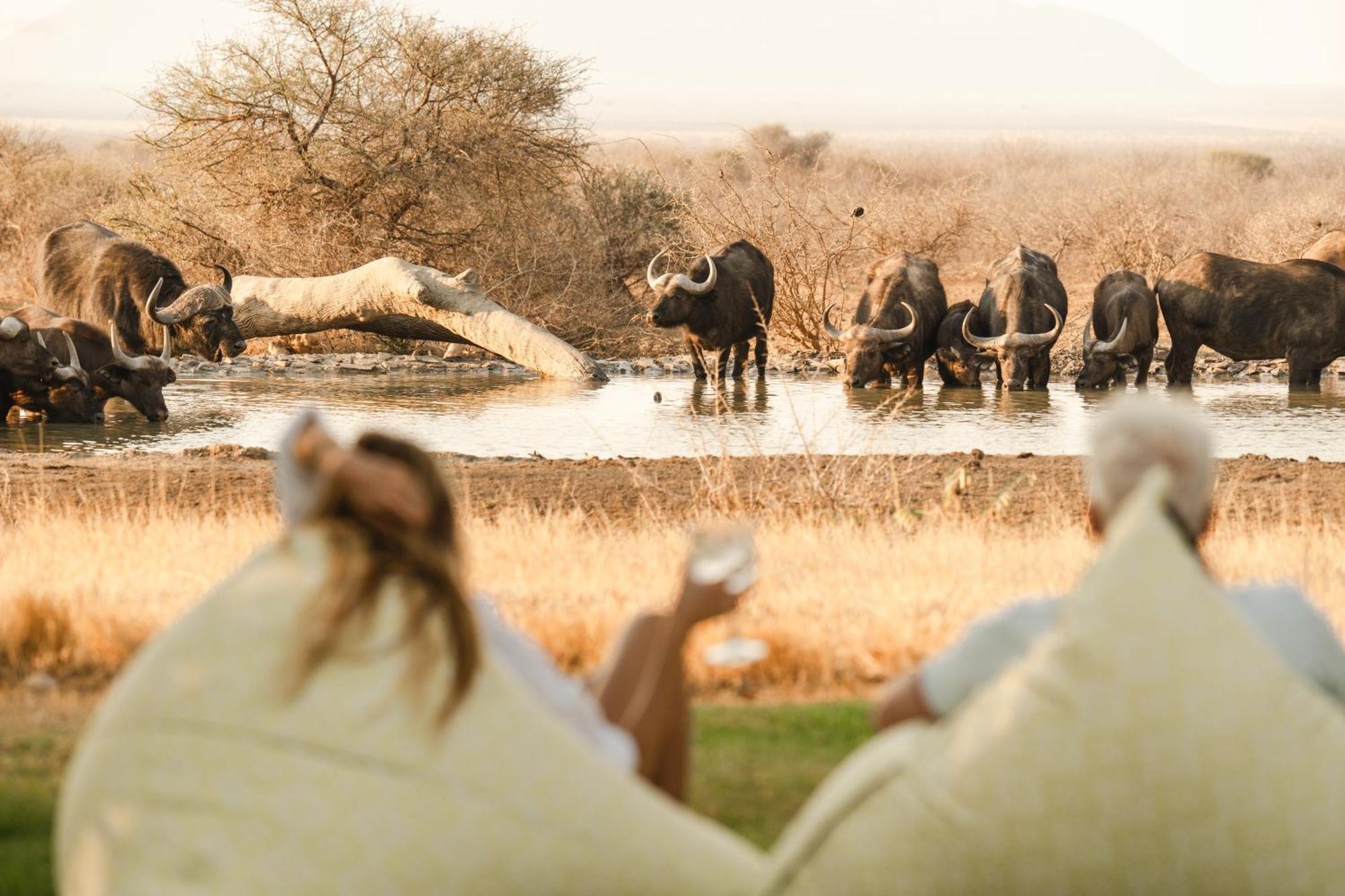 Last Word Madikwe Vila Madikwe Game Reserve Exterior foto