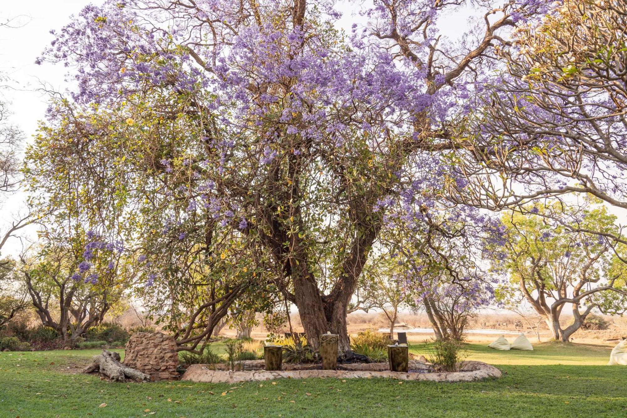 Last Word Madikwe Vila Madikwe Game Reserve Exterior foto