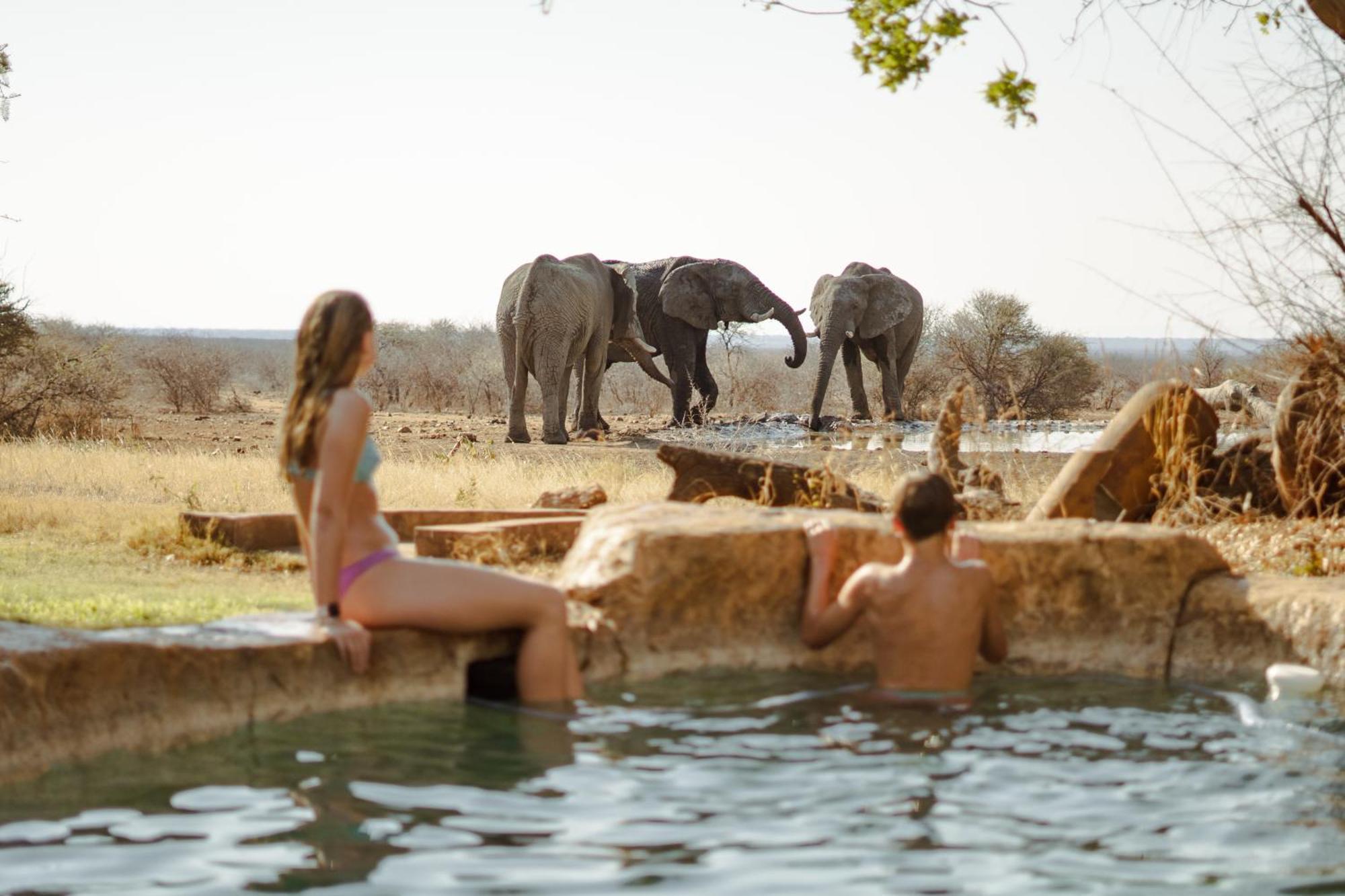 Last Word Madikwe Vila Madikwe Game Reserve Exterior foto