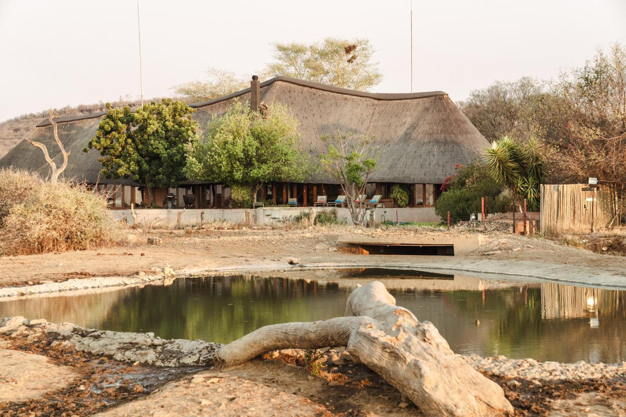 Last Word Madikwe Vila Madikwe Game Reserve Exterior foto